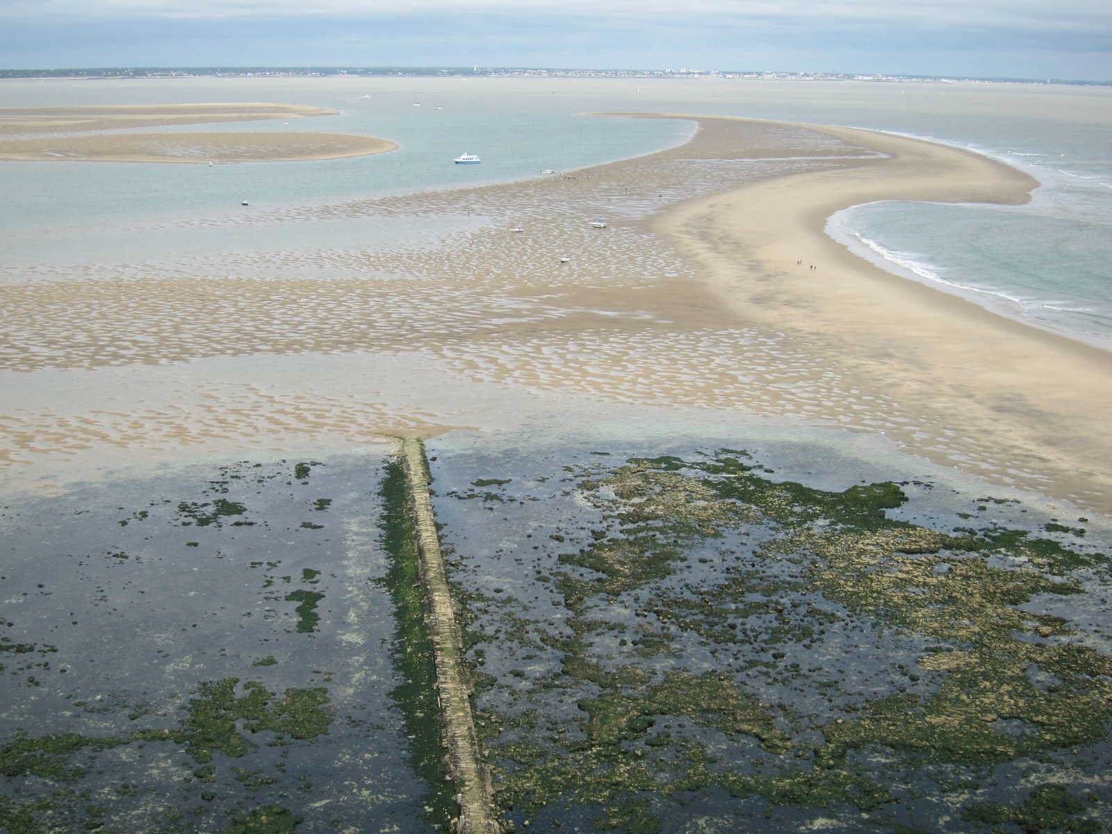 Le plateau de Cordouan