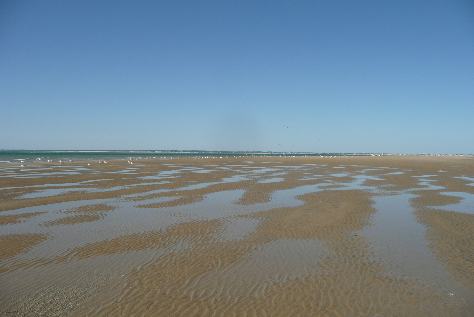 Le plateau de Cordouan à marée basse